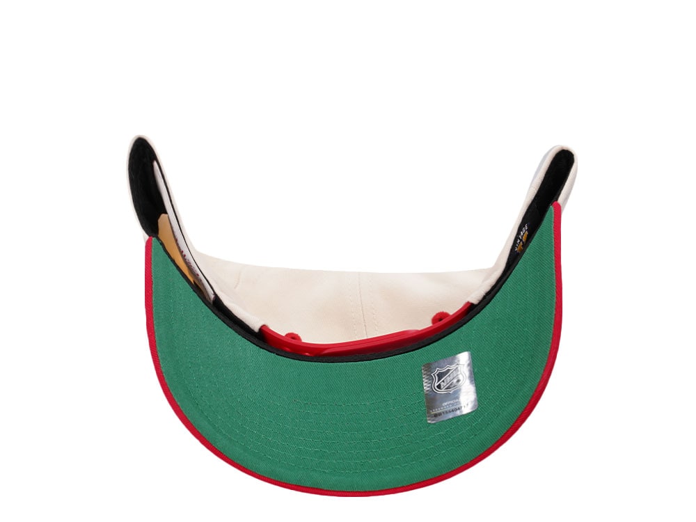 Mitchell & Ness Detroit Red Wings Horizon Two Tone Pro Crown Fit Snapback Casquette