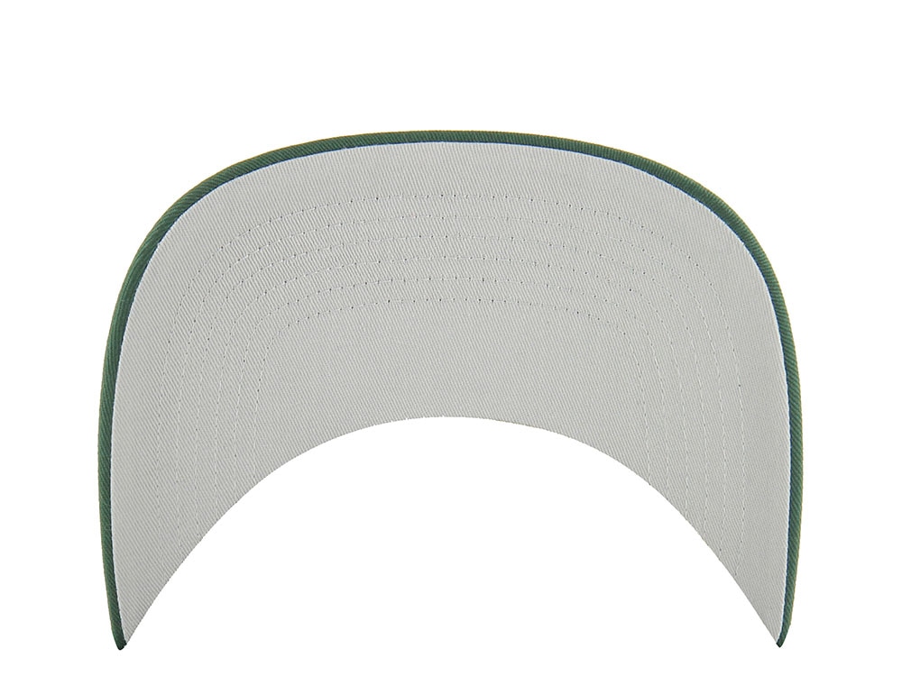 47Brand Green Bay Packers Dark Green Classic Edition Hitch Snapback Casquette