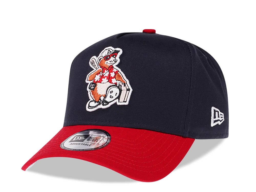 New Era Asheville Tourists Two Tone Prime Edition 9Forty A Frame Snapback Casquette
