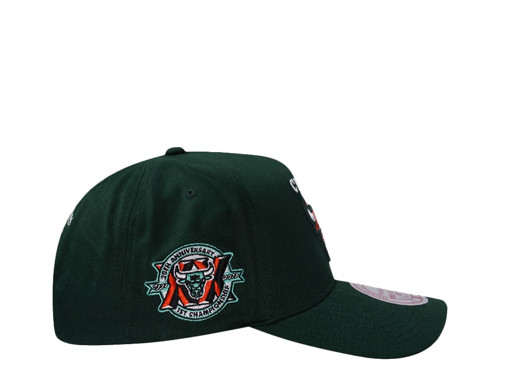 Mitchell & Ness Chicago Bulls 20th Anniversary Green Edition Pro Pinch Fit Snapback Casquette