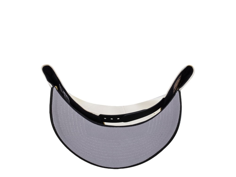 New Era Minnesota Timberwolves 20 Seasons Chrome Two Tone Edition 9Forty A Frame Snapback Casquette