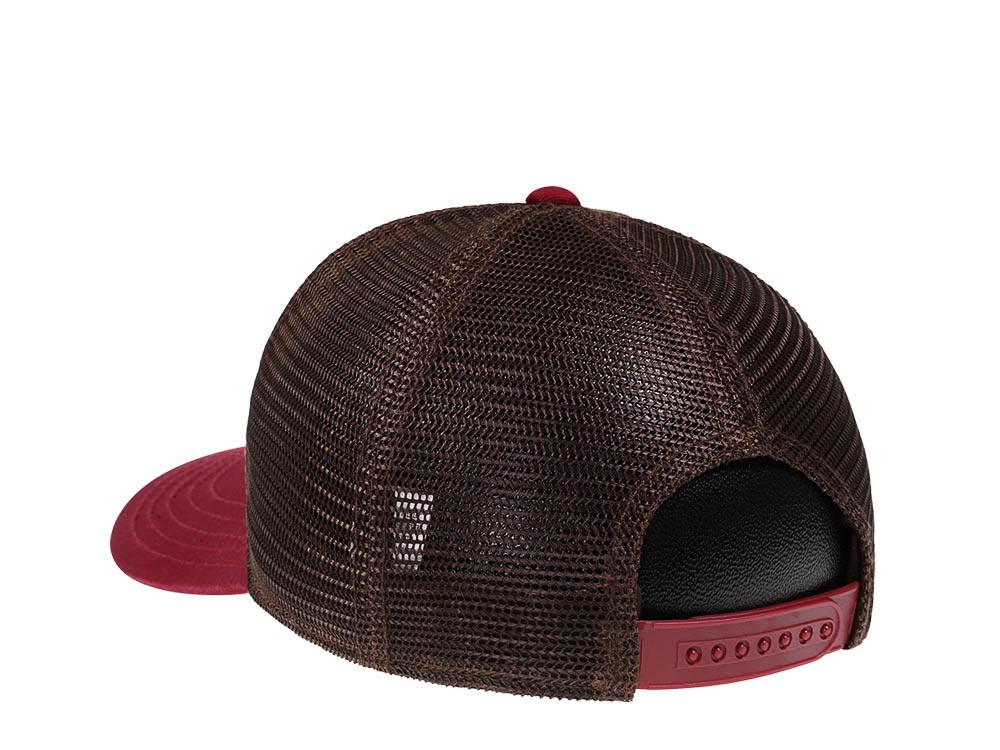 American Needle Grand Canyon NP Sinclair Trucker Snapback Casquette