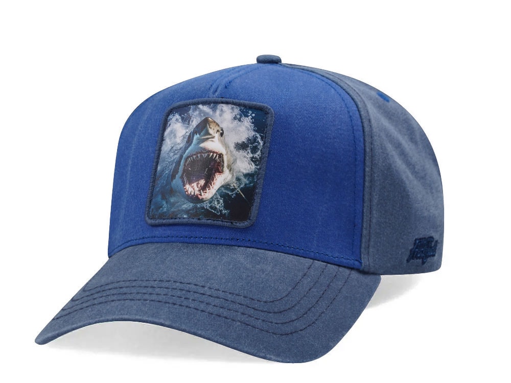 Hatfield Baby Shark Blue Snapback Casquette