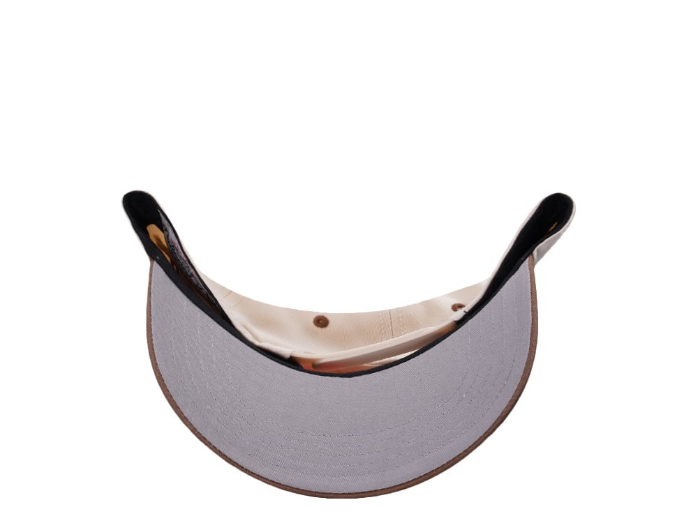 American Needle Joshua Tree National Park Roscoe Ivory Snapback Casquette
