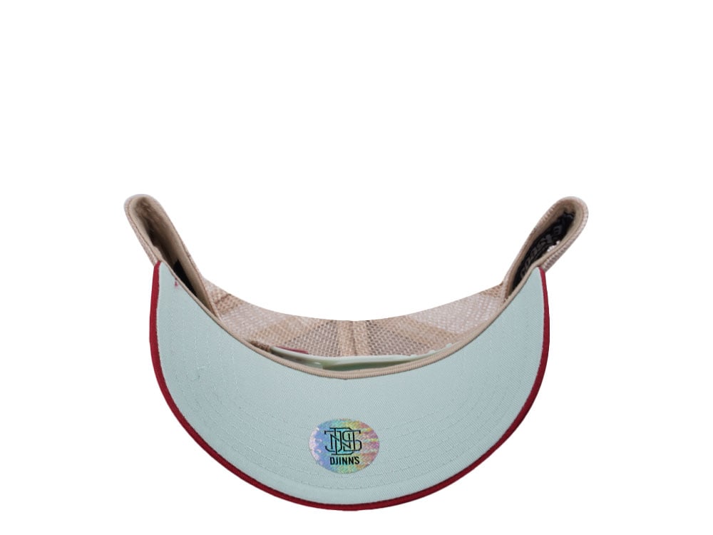 Djinns HFT High Lines Offwhite Two Tone Edition Trucker Snapback Casquette
