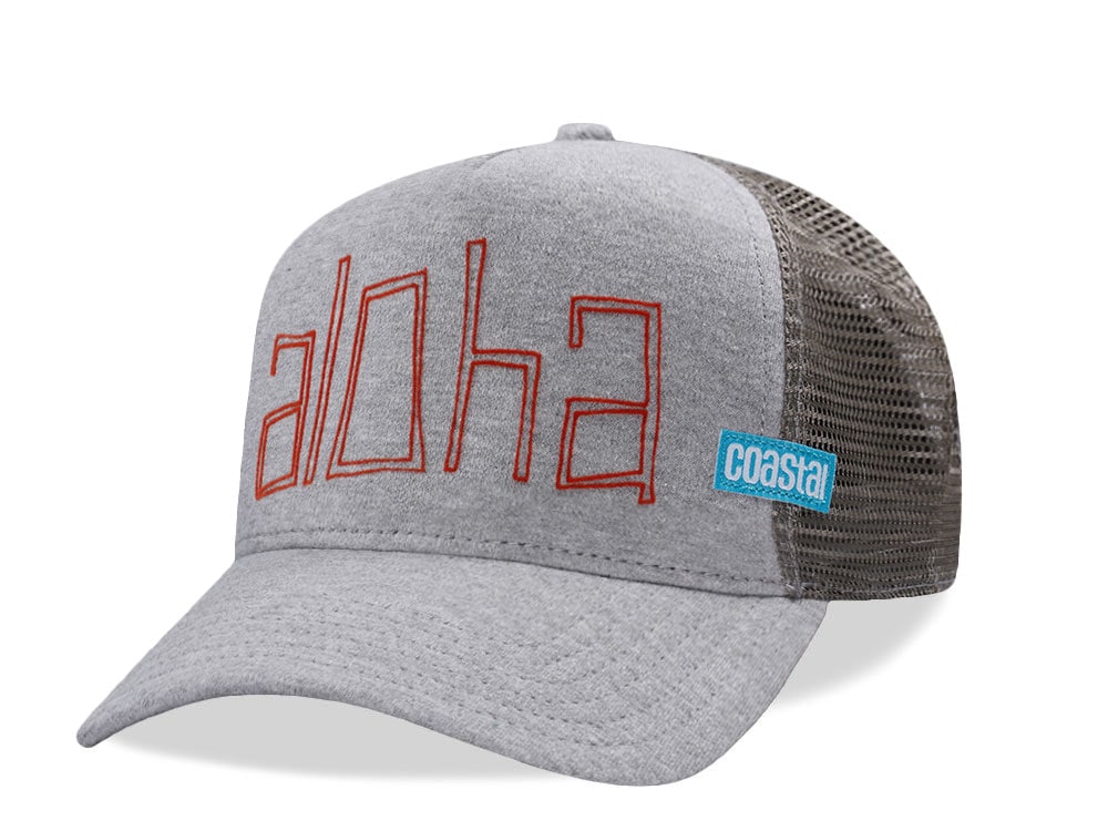 Djinns Aloha Jersey Gray Trucker Snapback Casquette