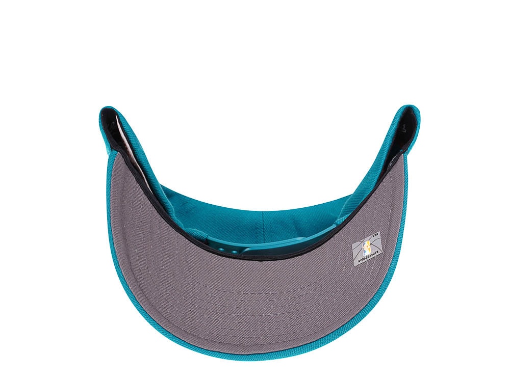 Mitchell & Ness Charlotte Hornets Team Ground Red Line Teal Solid Flex Snapback Casquette