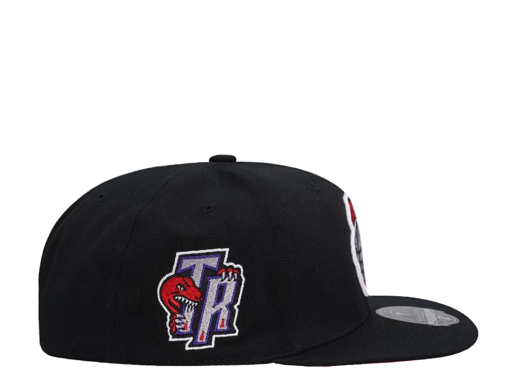 Mitchell & Ness Toronto Raptors Logo History Hardwood Classic Dynasty Fitted Casquette