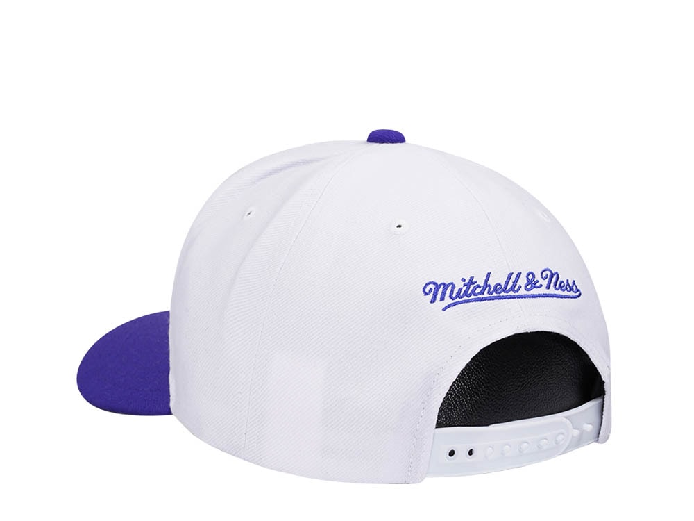 Mitchell & Ness Charlotte Hornets Team Two Tone 2.0 Pro Snapback Casquette