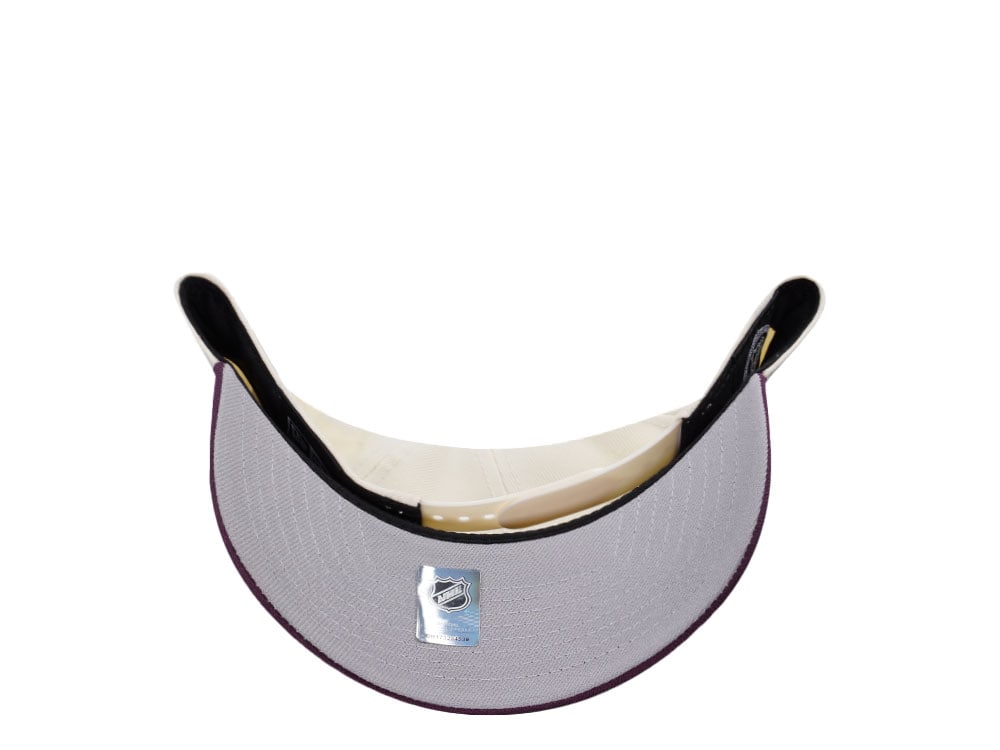 New Era Anaheim Ducks Circle Logo Chrome Two Tone Edition 9Forty A Frame Snapback Casquette