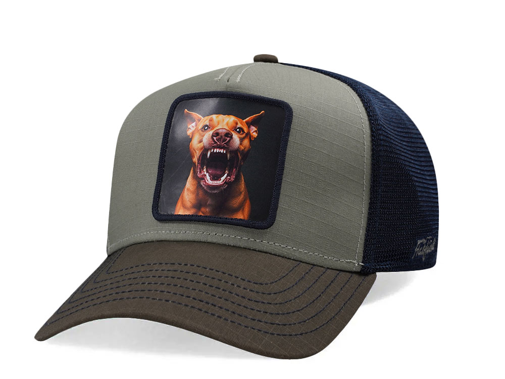 Hatfield Barking Dog Olive Trucker Snapback Casquette