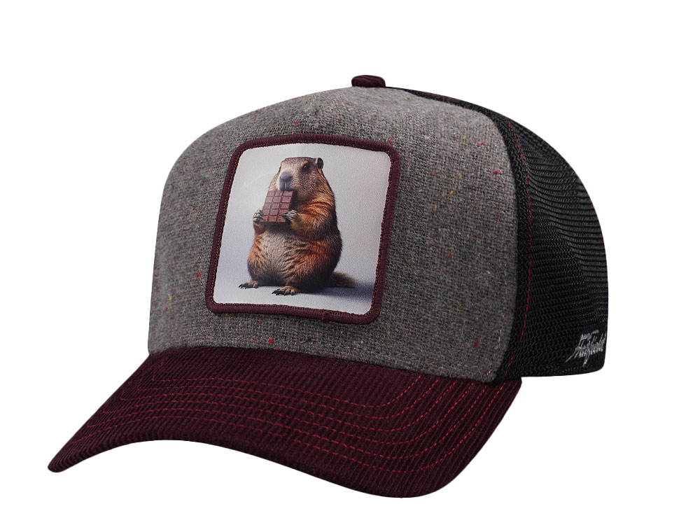 Hatfield Chocolate Beaver Burgundy Gray Trucker Snapback Casquette