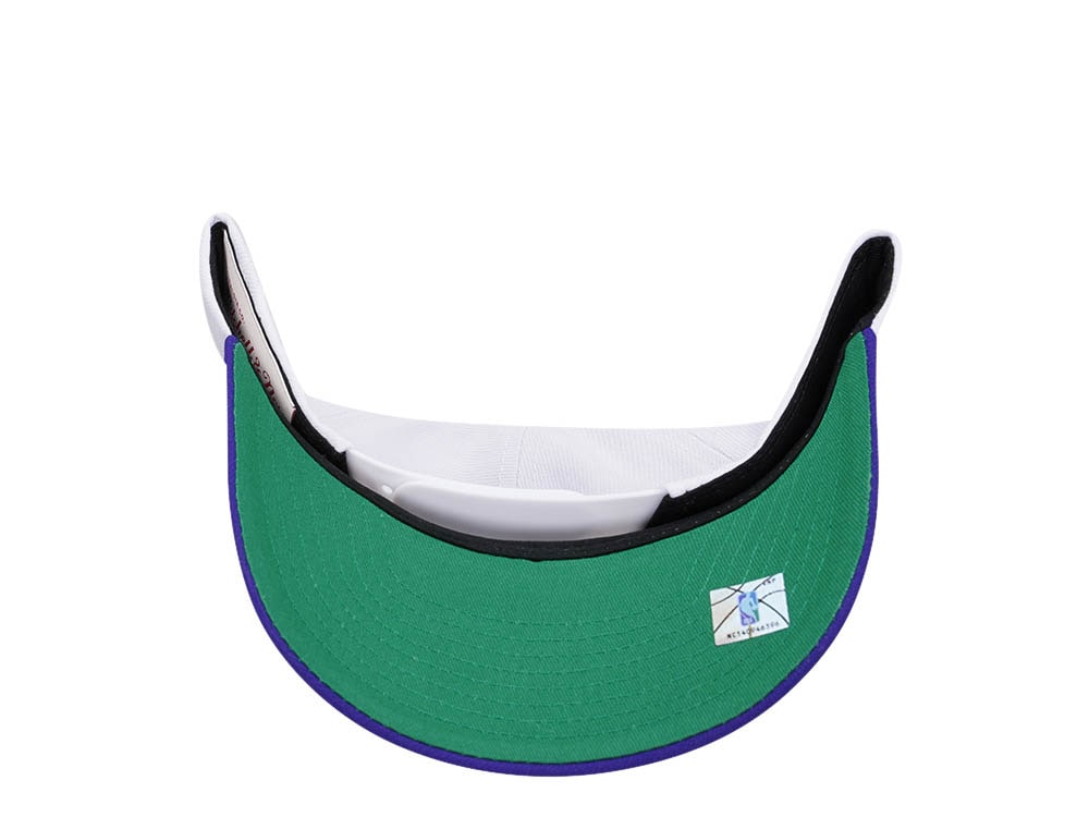 Mitchell & Ness Charlotte Hornets Team Two Tone 2.0 Pro Snapback Casquette
