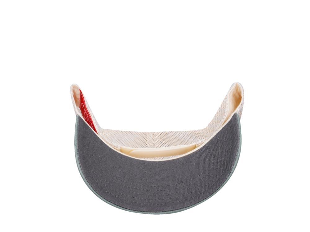 American Needle Vermont Domino Ivory Cool Gray Cedar Trucker Snapback Casquette