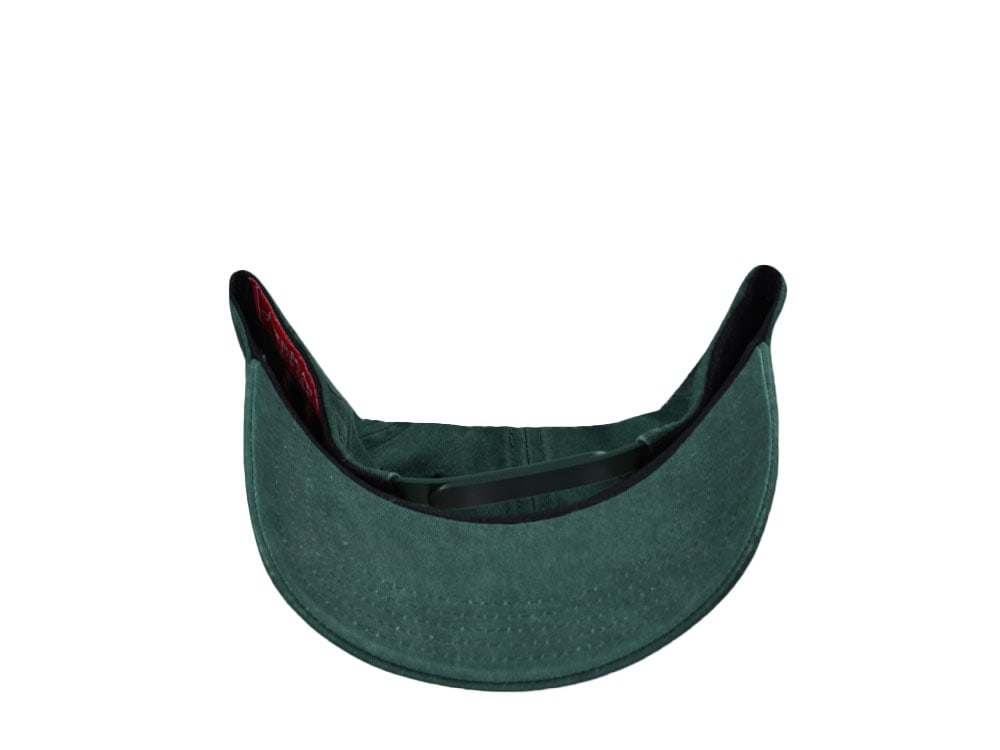 American Needle Smokey Bear Walker Dark Green Snapback Casquette