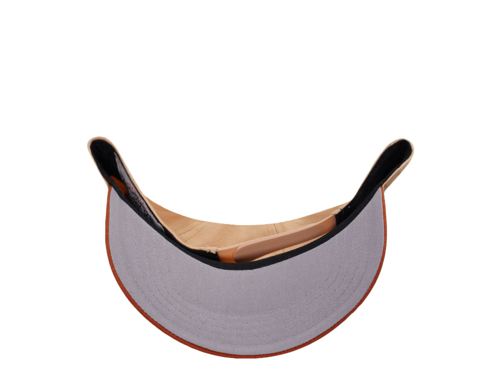 American Needle Sequioa National Park Roscoe Beige Snapback Casquette