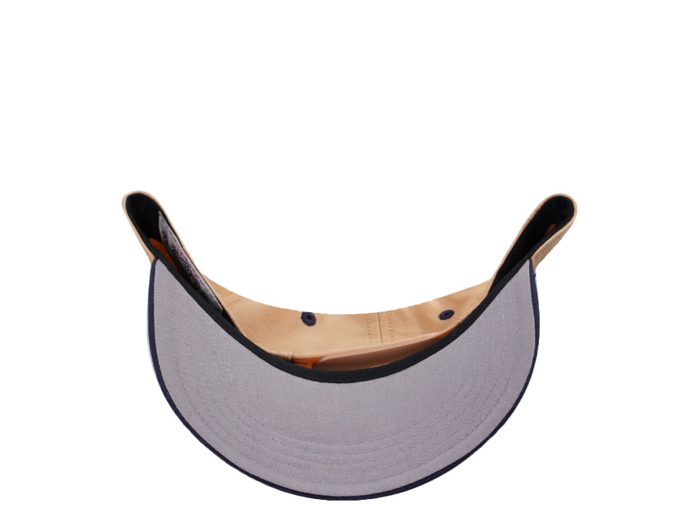 American Needle Yellowstone National Park Roscoe Beige Snapback Casquette