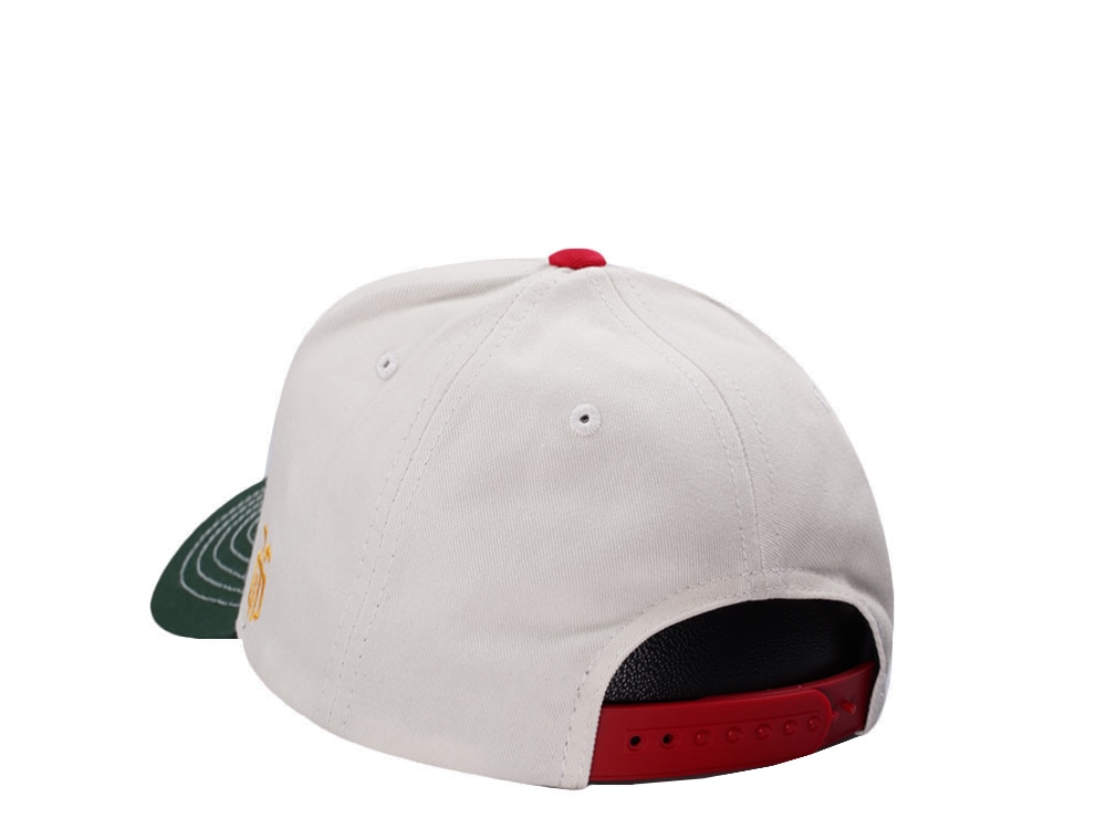 Parallel Union Mexico Skull Headdress Chrome Two Tone Edition Snapback Casquette