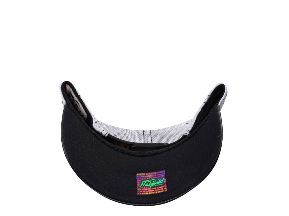 Hatfield Bison Brown White Trucker Snapback Casquette