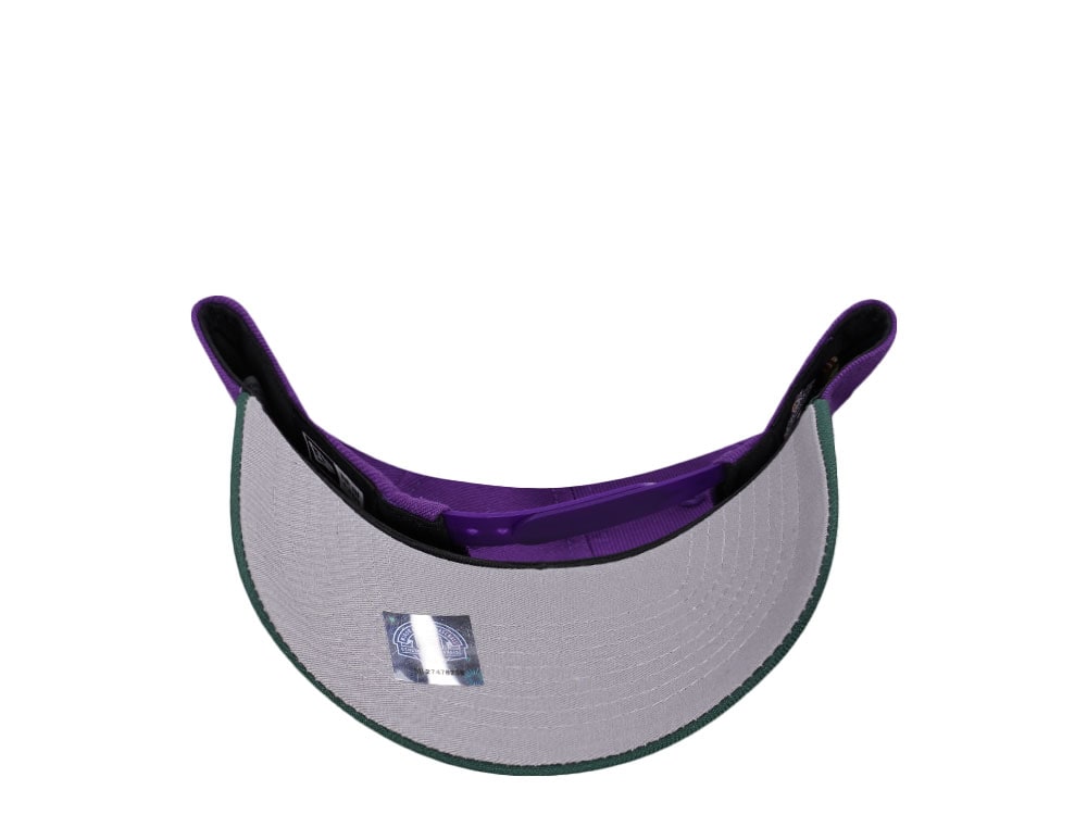 New Era Tampa Smokers Purple Gold Two Tone Edition 9Forty A Frame Snapback Casquette