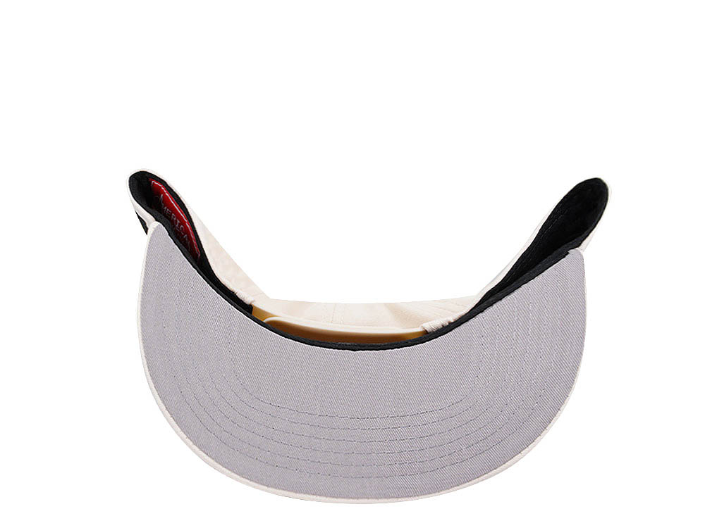 American Needle Hanshin Tigers Blockhead 2.0 Casual Snapback Casquette