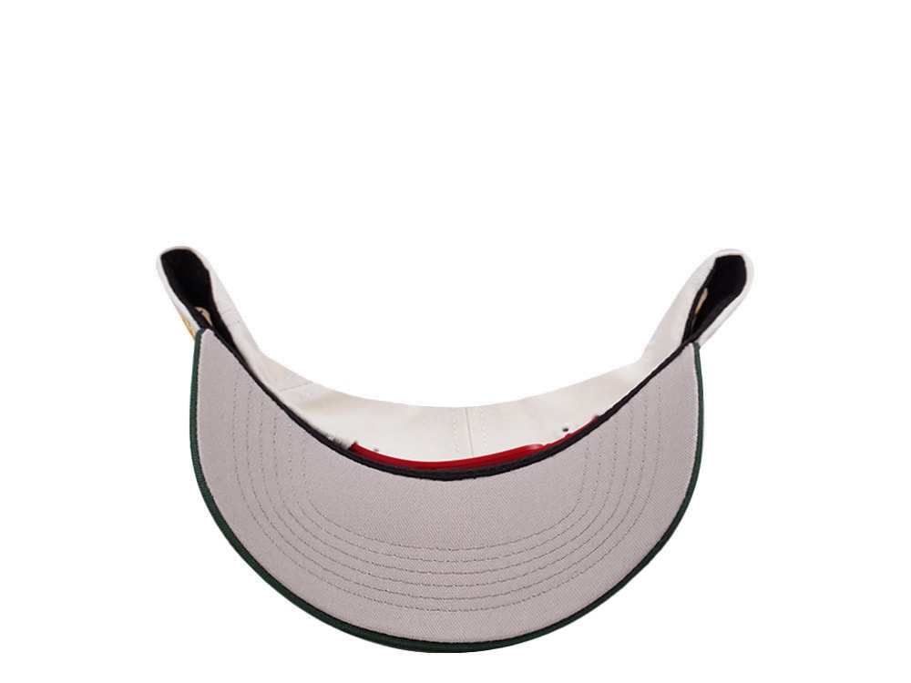 Parallel Union Mexico Skull Headdress Chrome Two Tone Edition Snapback Casquette