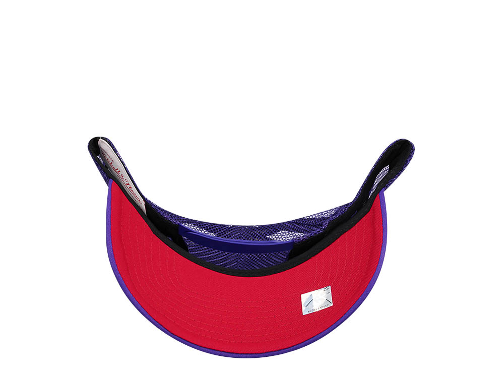Mitchell & Ness Toronto Raptors Purple Billboard Trucker Snapback Casquette