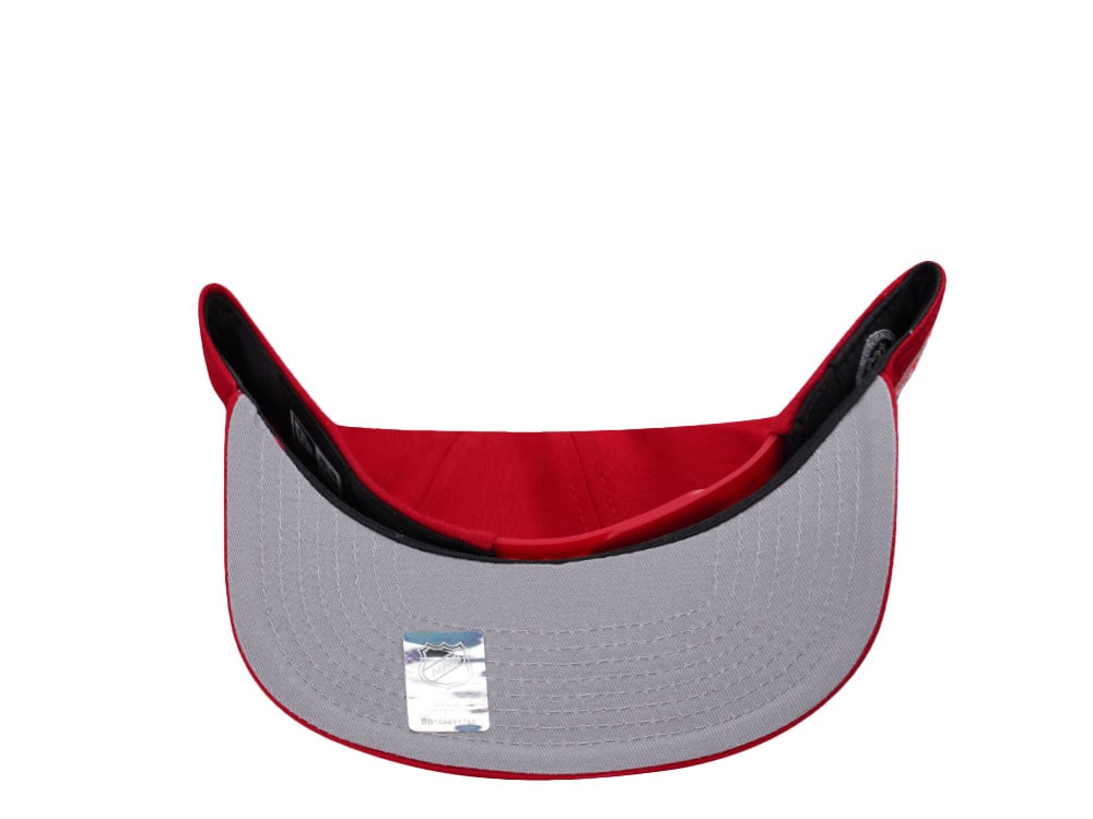 Detroit Red Wings Farewell Joe Louis Arena Vintage Edition Golfer Snapback Casquette