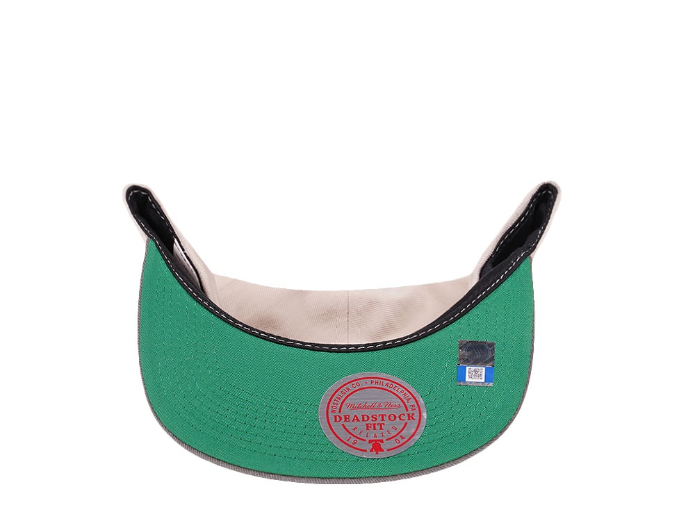 Mitchell & Ness Michigan Wolverines Deadstock Throwback Snapback Casquette