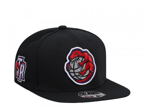 Mitchell & Ness Toronto Raptors Logo History Hardwood Classic Dynasty Fitted Cap