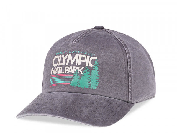 American Needle Olympic Natl. Park Gray Vintage Casual Snapback Cap